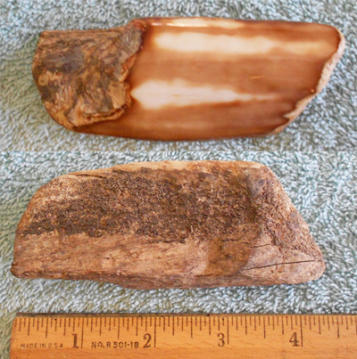 Image 04
