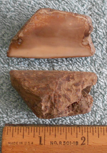 Image 04