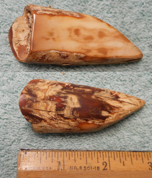 Image 04