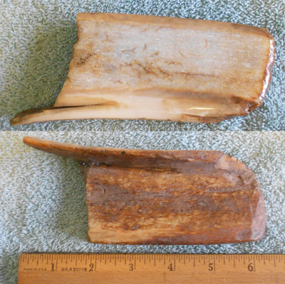 Image 04