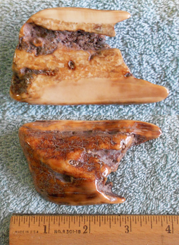 Image 04