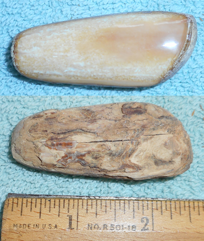 Image 04