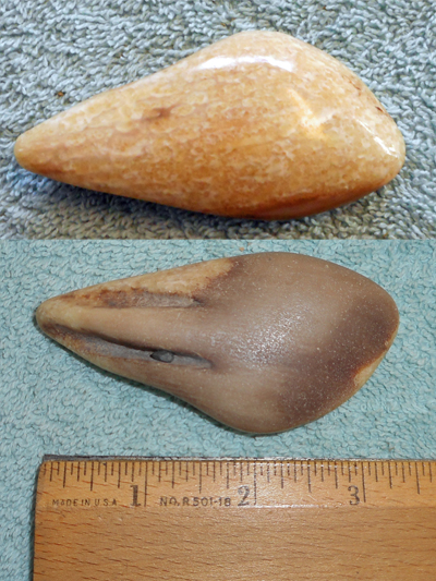 Image 04
