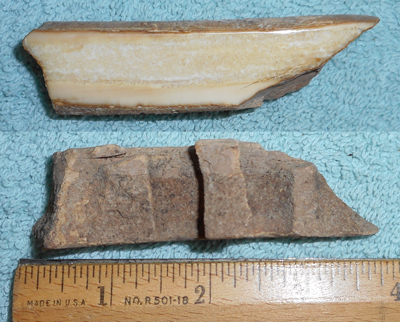 Image 04