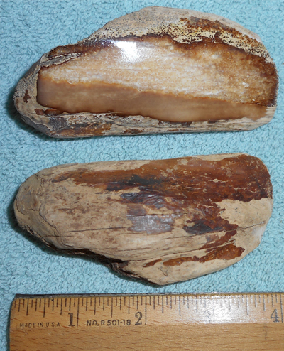 Image 04