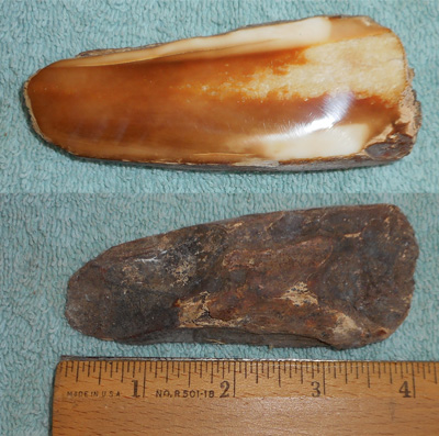Image 04