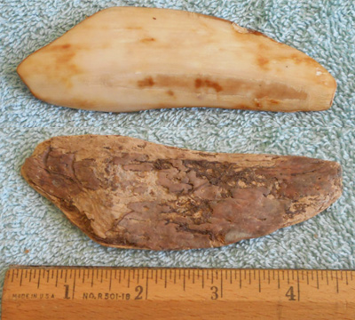 Image 04