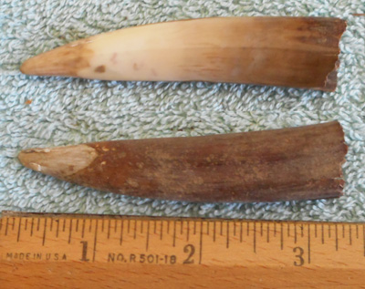 Image 04