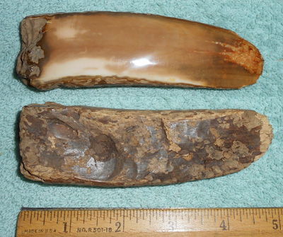 Image 04