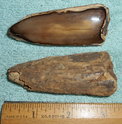 Image 04