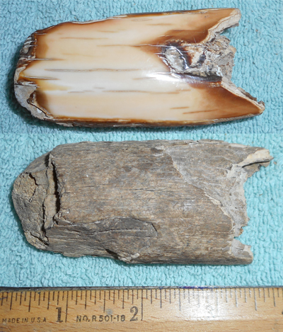 Image 04