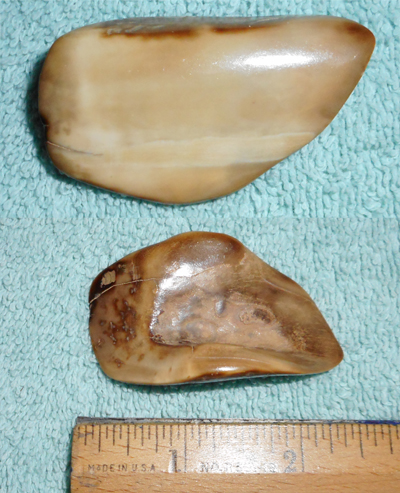 Image 04