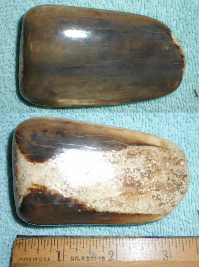 Image 04