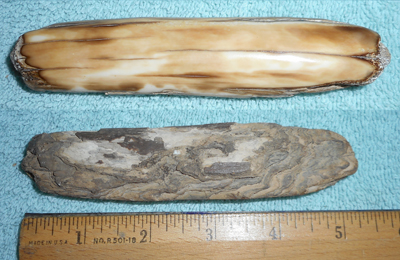 Image 04