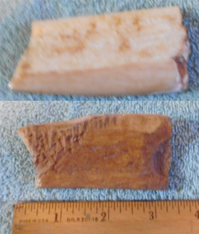 Image 04