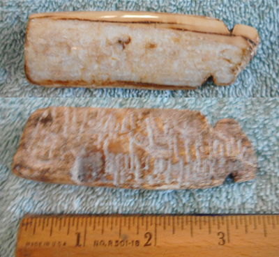 Image 04