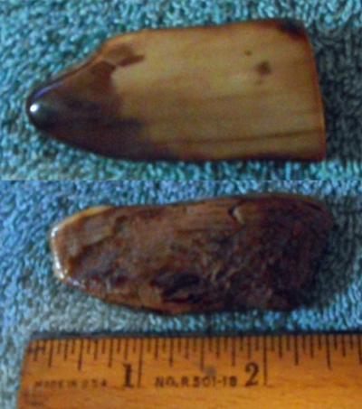 Image 04