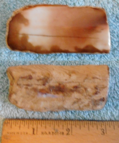Image 04
