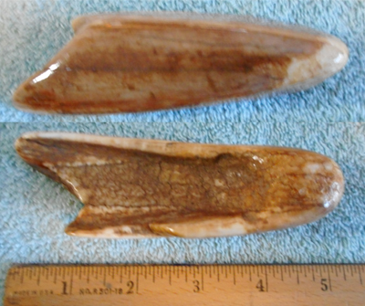 Image 04
