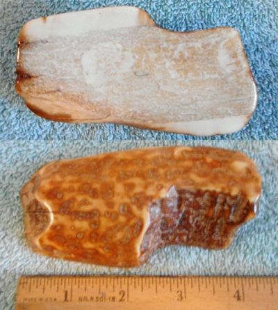Image 04
