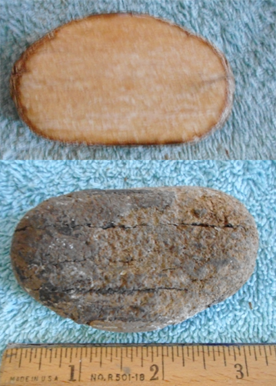 Image 04