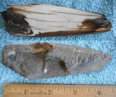 Image 04