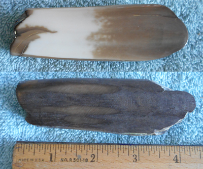 Image 04