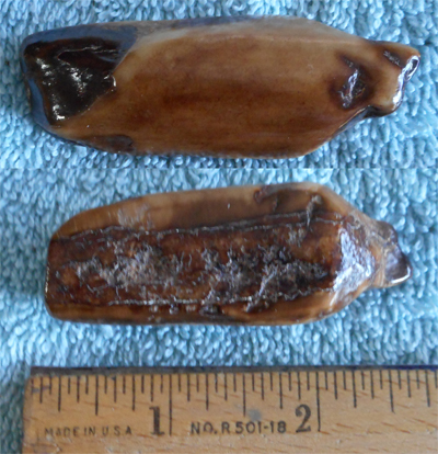 Image 04
