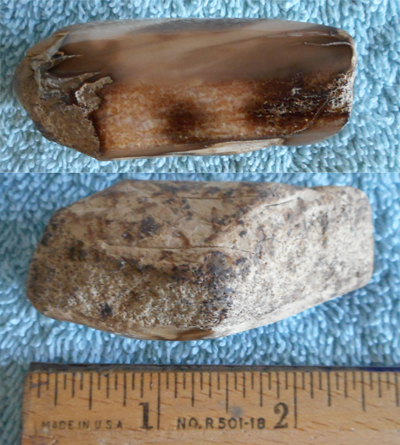 Image 04