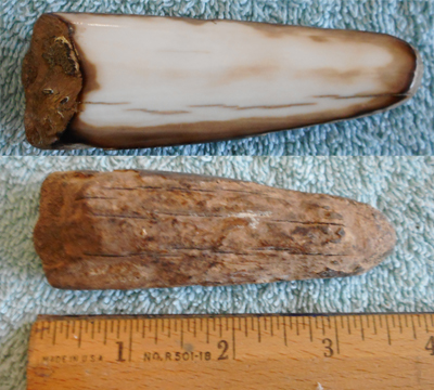 Image 04