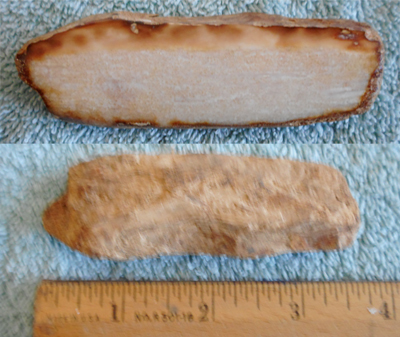 Image 04