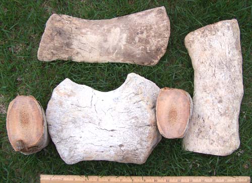 Image 01