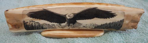 Eagle in flight, Click to purchase this item.