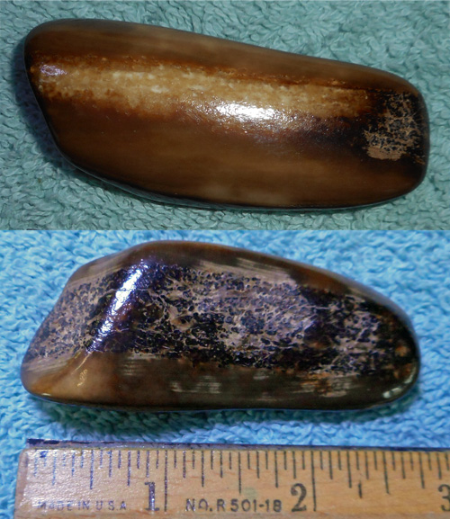 Image 04