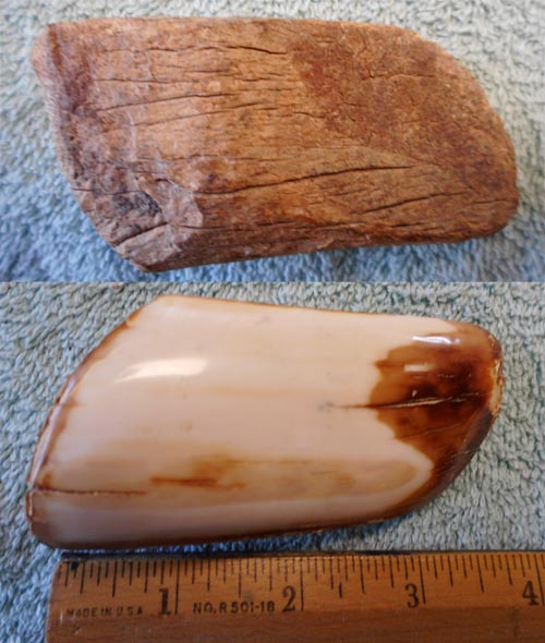 Image 04