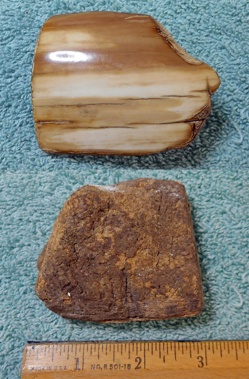 Image 04