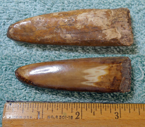 Image 04