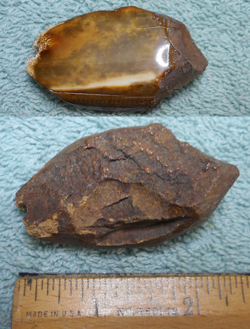 Image 04