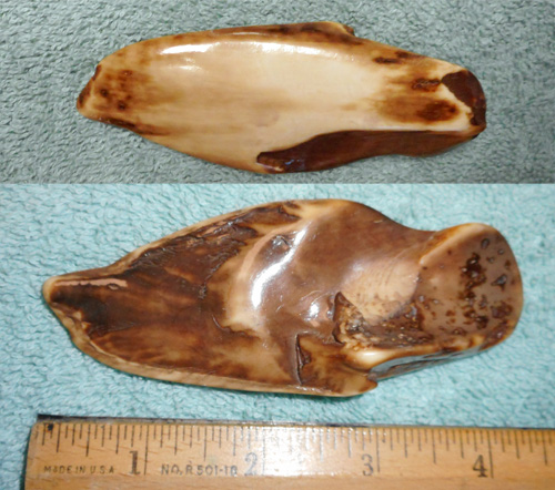 Image 04