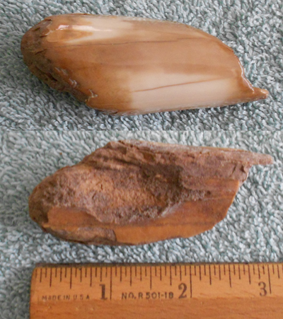 Image 04