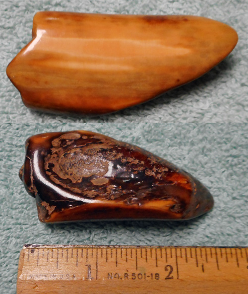 Image 04