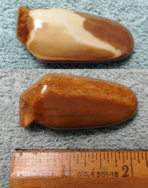 Image 04