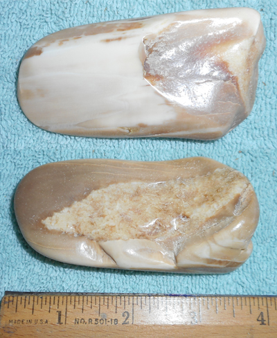 Image 04
