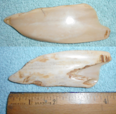 Image 04