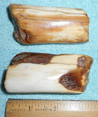 Image 04