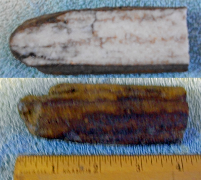 Image 04