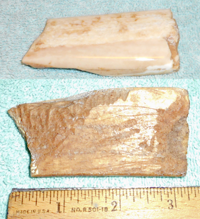 Image 04