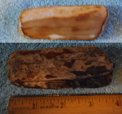 Image 04