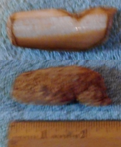 Image 04