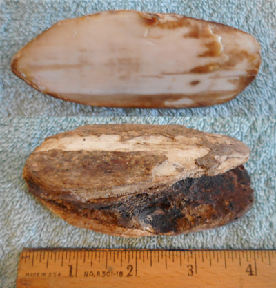 Image 04